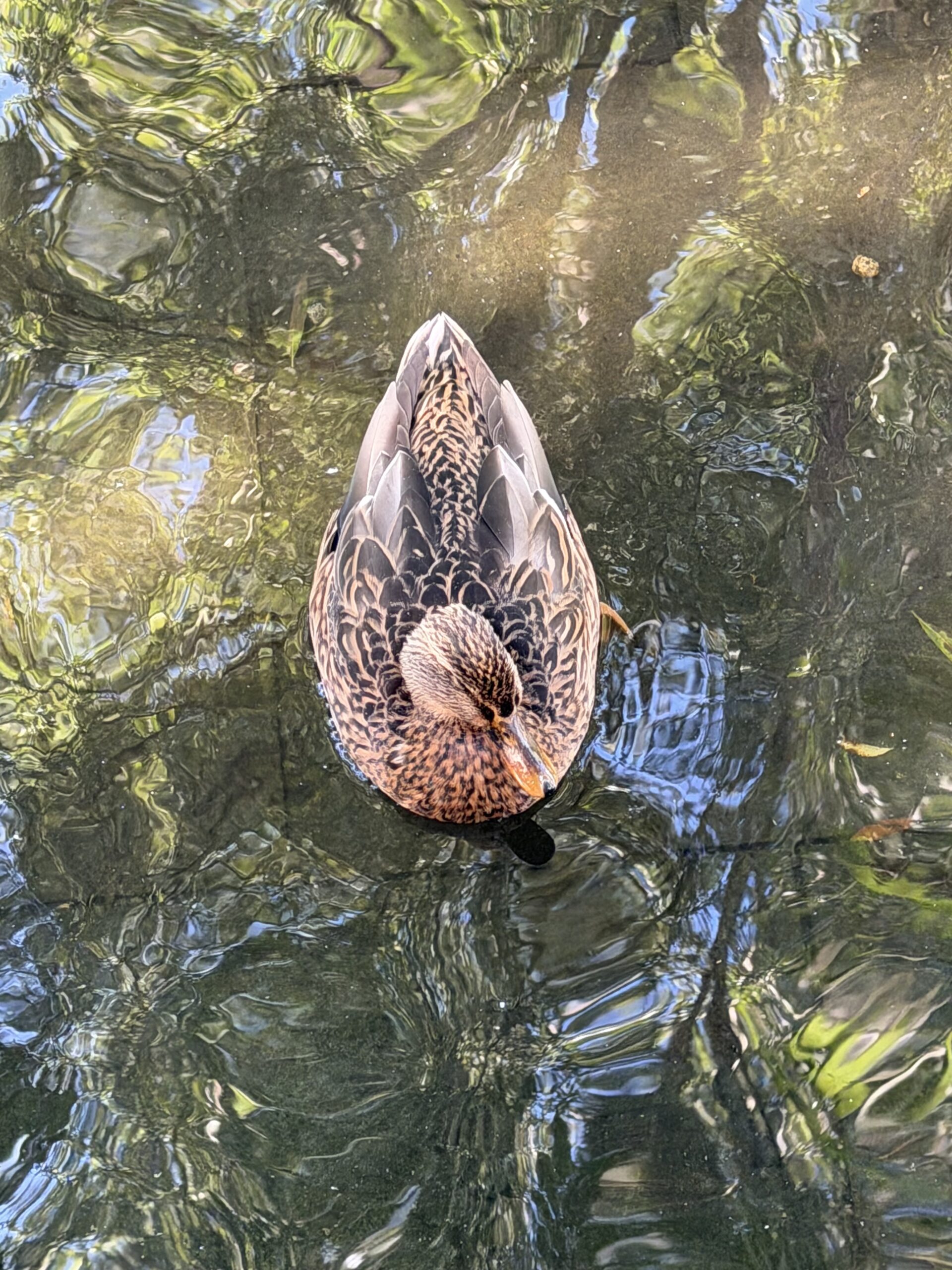 Angles: The Silent Shifts of Perspective