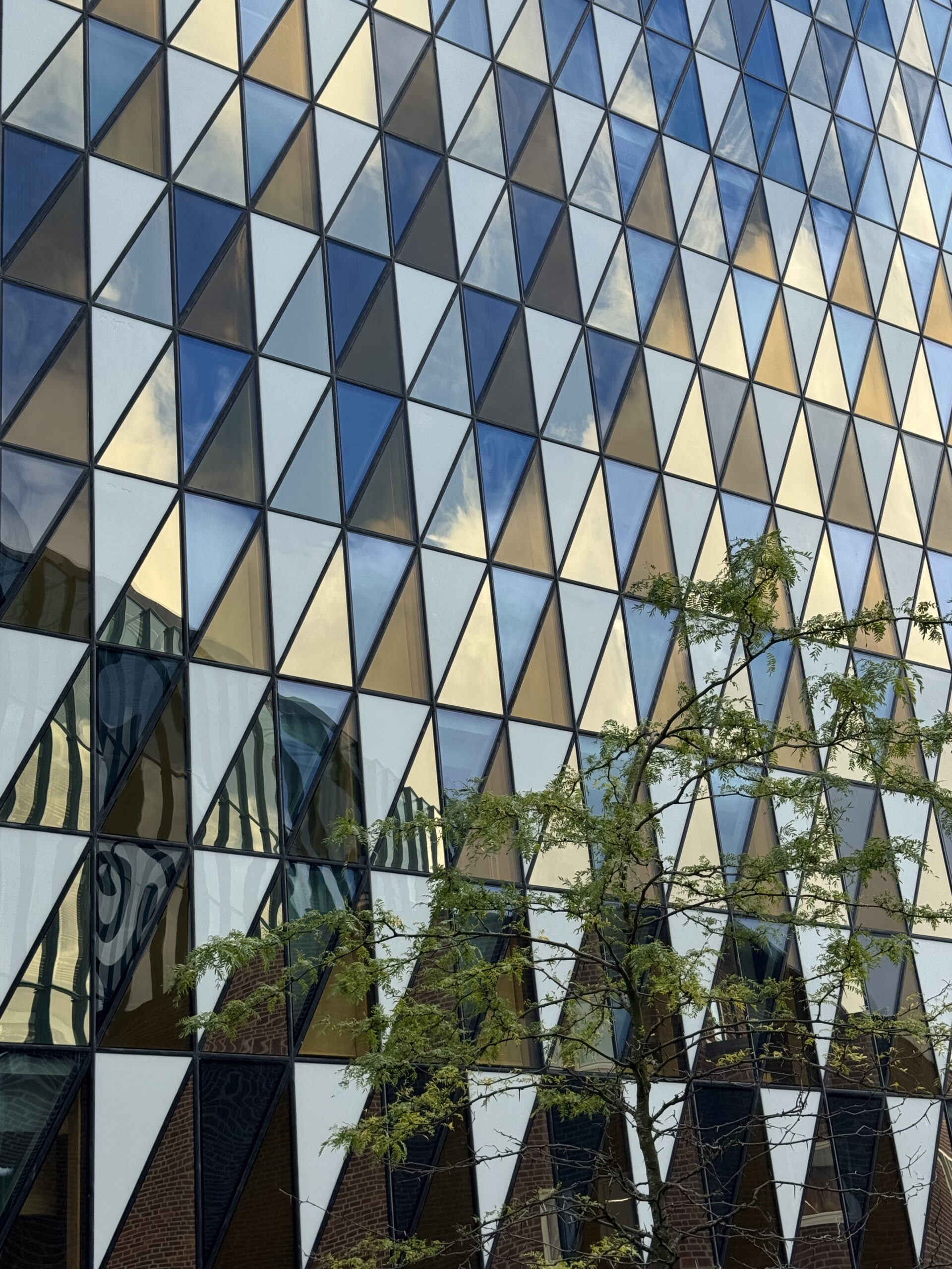 Patterns and Forms: The Hidden Language Around Us