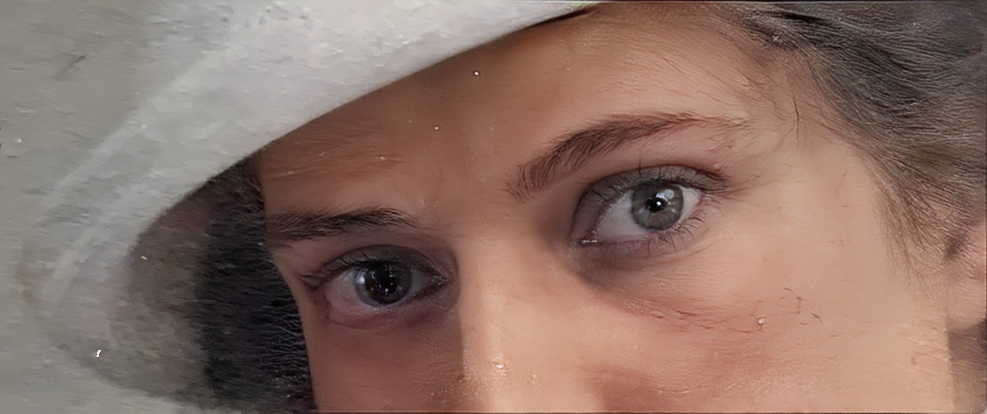 Seeing More Slowly /  Att Se med Långsamhet